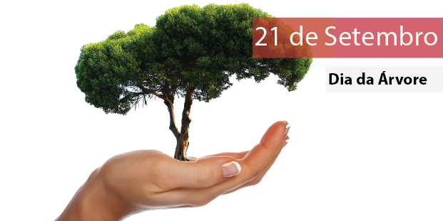Resultado de imagem para dia da arvore